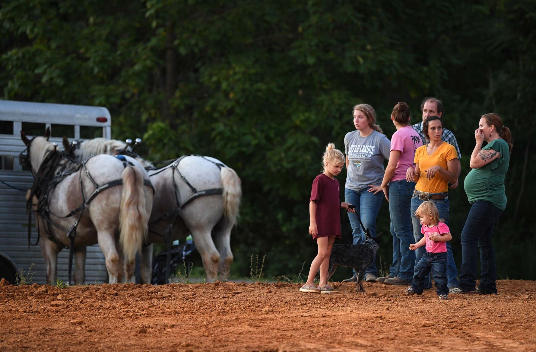 Tirage au sort de chevaux de trait Ag Expo 11.JPG
